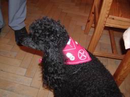 Resize of P1010424.JPG